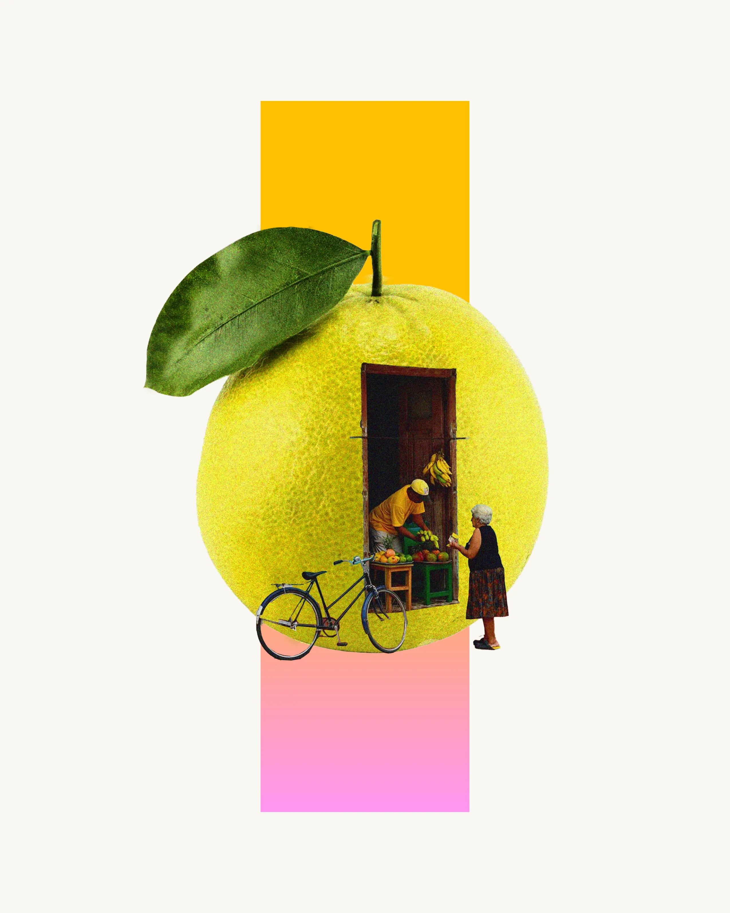 la_guaca_washed_illustration.webp