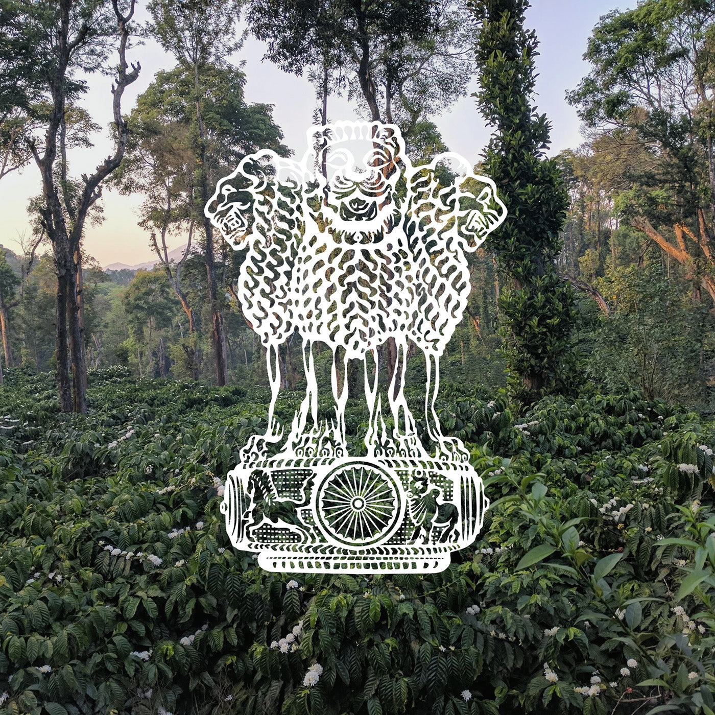 A Tale of Two Indias: Spices, Berries, and Heritage