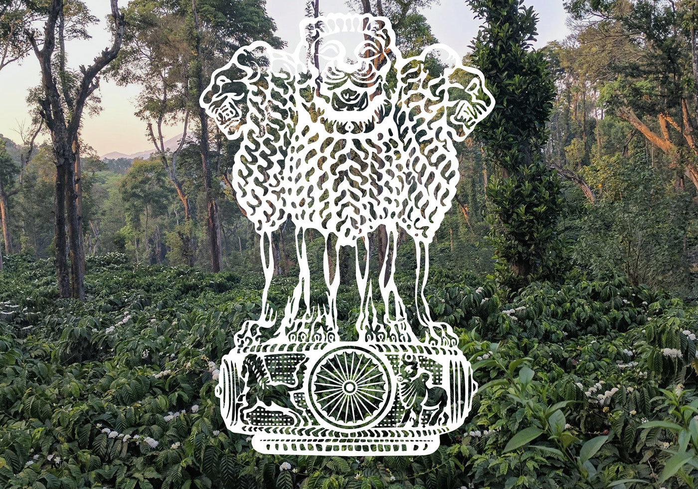 A Tale of Two Indias: Spices, Berries, and Heritage