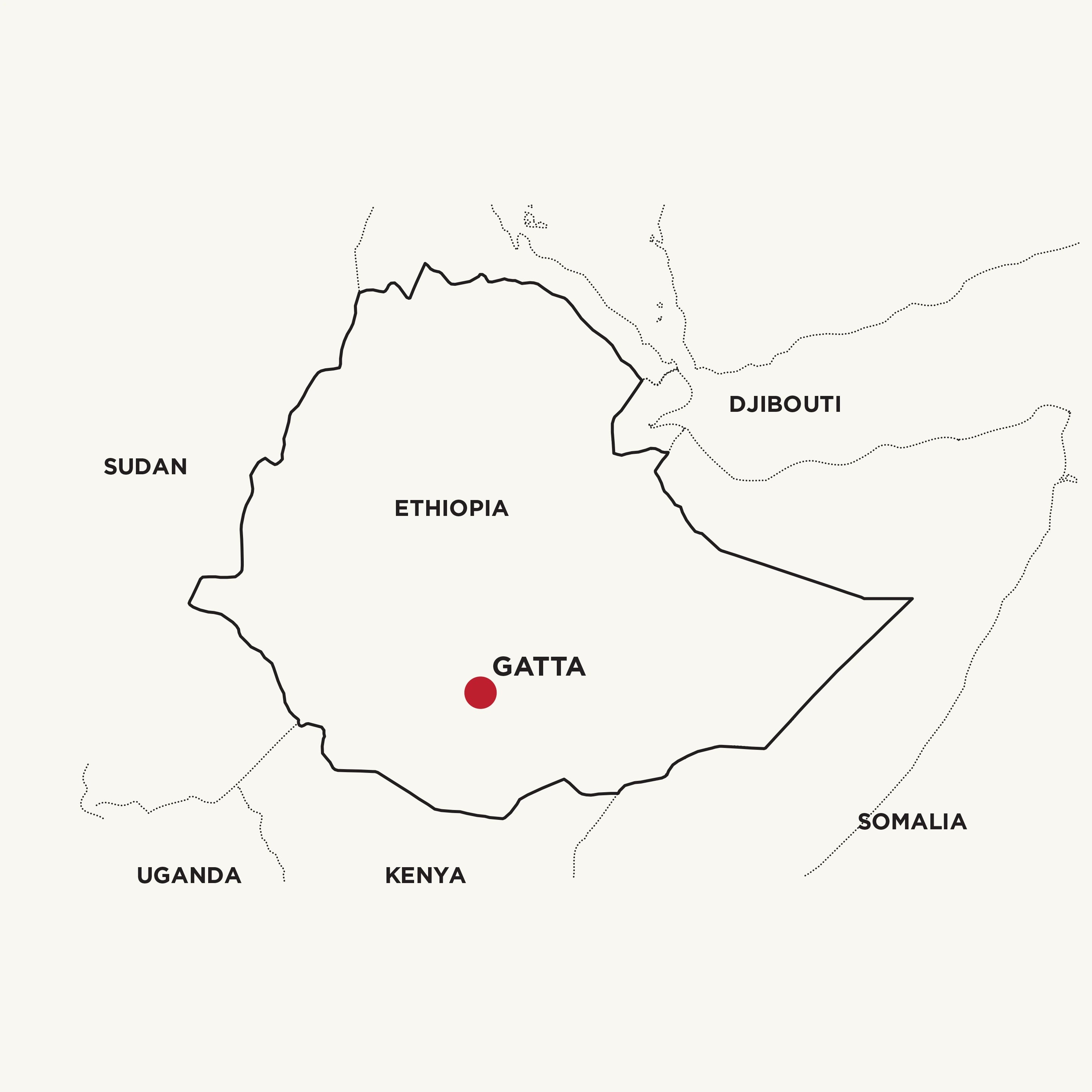 Gatta